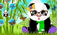 Cute Panda Dress Up